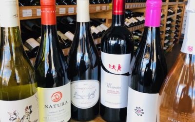 2020 November Newsletter