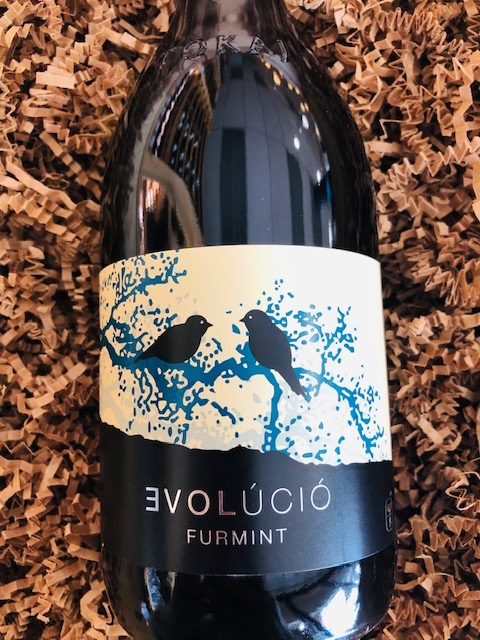 Evolucio
