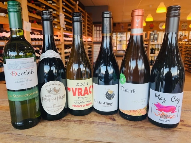 2023 February Newsletter