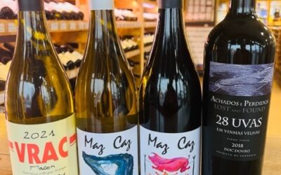 Wine Tasting 11-4-22