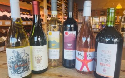 2023 March Newsletter