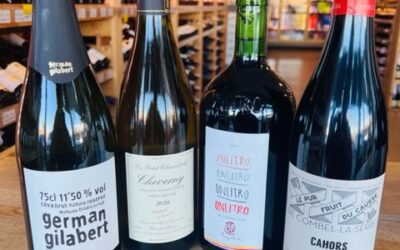 Wine Tasting Matej 11-11-22