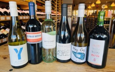 2022 November Newsletter