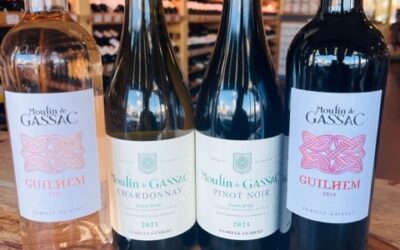 Wine Tasting Matej 3-10-2023