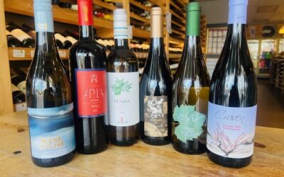 2026 January Newsletter